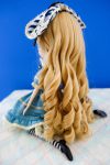 Classical Alice's wig from the back..